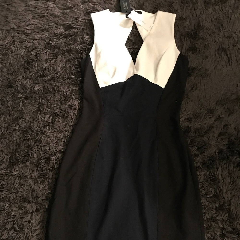 Brand New Banana Republic Petite Dress